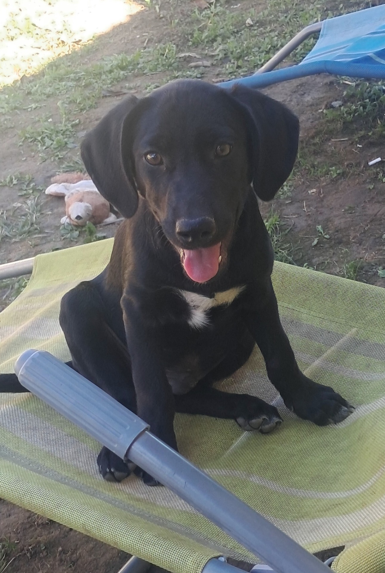 Aron, sucht noch ein Zuhause