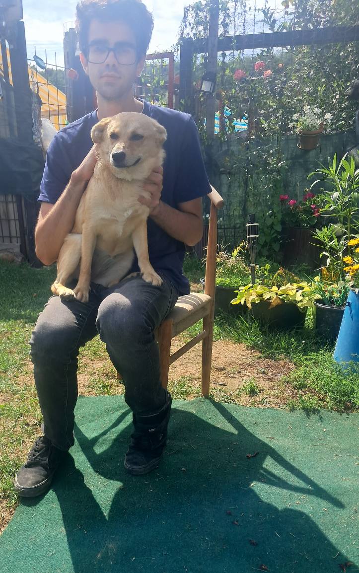 Auch die süsse agile Luna sucht noch nach ihren Menschen